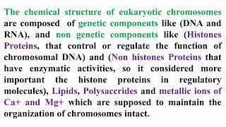 Chemical Structure of Eukaryotic Chromosomes [upl. by Novej]