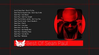 Best Of Sean Paul In 30 Mins [upl. by Nnylav]