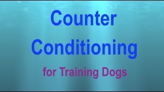 Counter Conditioning a Visual Explanation [upl. by Willis]