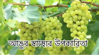 আঙুর খাওয়ার উপকারিতা  Angur khawar upokarita  angur er gunagun [upl. by Sihtnyc985]