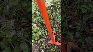 Uproot saplings with ease permaculture sustainability usa treefarm gardentools garden [upl. by Enehpets]