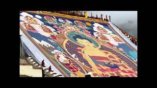 Shoton festival lhasa [upl. by Eadrahs]