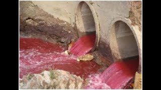 Decolourization and Degradation of Dyes in Industrial Effluents by Native Endophytic Fungi [upl. by Alim]