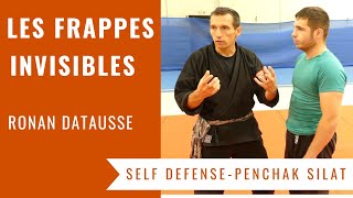 COMMENT FAIRE DES FRAPPES IMPARABLES SELF DEFENSE  PENCHAK SILAT [upl. by Pearman]