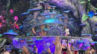 Afrojack  Tomorrowland 2024 [upl. by Amisoc656]