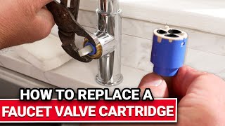 How To Replace A Faucet Valve Cartridge  Ace Hardware [upl. by Ecidna809]