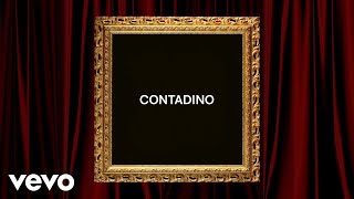 Articolo 31  CONTADINO Lyric Video [upl. by Philan]