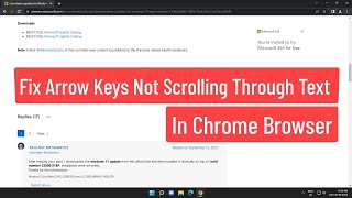 Fix Arrow Keys Not Scrolling Webpages Navigating Through Text in Chrome Browser [upl. by Nnaillij]