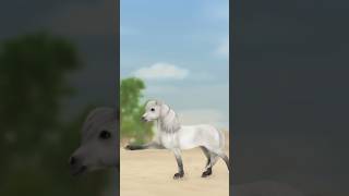 Unreleased animations 🤫 sso starstable starstableonline starstablehorses ssobug [upl. by Enicnarf]