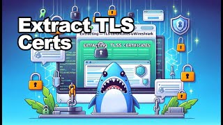 Extract TLS Certificates using Wireshark [upl. by Illoh]