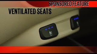 Hyundai Verna  Ventilated Seats  Sponsored Feature [upl. by Christoffer51]