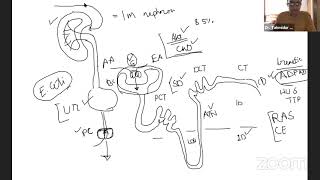 Medicine2Nephrology Davidsons [upl. by Ytirev]