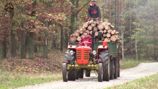 Wywóz drewna z lasu  Zetor 4011 [upl. by Namilus]