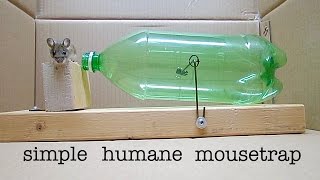 How to Make a ● Simple Catch and Release Bottle Mousetrap  that works [upl. by Fairleigh234]