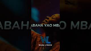 Joel Lwaga  Olodumare lyrics video foryou viralvideo dance dancechallenge capcutedit lyrics [upl. by Remmus]