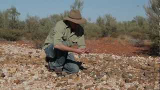 Natural Sciences Loop  Opal Fossicking Quilpie [upl. by Atiner]