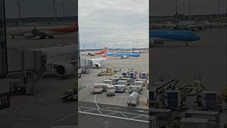 Berlin Brandenburg Airport aviation foryou airport explore shortvideo fyp [upl. by Dutchman]