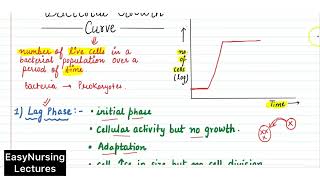 Bacterial Growth Curve in Hindi  Microbiology [upl. by Atterol842]