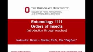 Entomology 1111  2018  Lecture 06  Introduction to the Hexapoda insects  part 1 [upl. by Springer842]