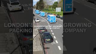 Best Moving Company In London [upl. by Dettmer]