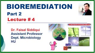 Bioremediation  Part 2 [upl. by Menon]