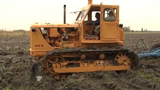 ZT und K700 Harter Kampf im Oderbruch  Traktor T 100 im Schlamm [upl. by Drandell]