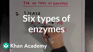 Six types of enzymes  Chemical Processes  MCAT  Khan Academy [upl. by Ellak]