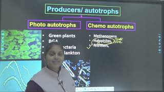 Deference Between Photoautotrophs and Chemoautotrophs [upl. by Merle]