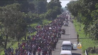 Trump Threatens To Use Military Force Against Migrant Caravan [upl. by Brunella]