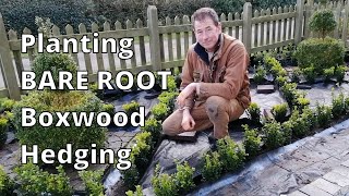 How to Plant a Boxwood Hedge Parterre [upl. by Llarret218]