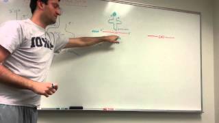 tRNA and Protein Synthesis Made simple [upl. by Yatnahs539]