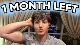 1 month until GCSEs and ALevels what to do [upl. by Xonnel923]