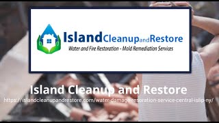 Island Cleanup and Restore [upl. by Ulysses]