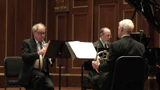 I Allegro moderato  Trio in A minor for piano oboe and horn 1887 by Carl Reinecke [upl. by Ycal]