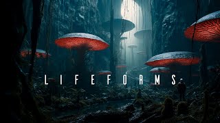 Lifeforms  Calm Space Ambient Meditation  Soothing Ambient Music for Sleep and Relaxation [upl. by Emoryt]