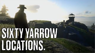 Red Dead Redemption II 60 Yarrow Locations [upl. by Leiruh]