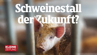 Tierwohl  Diese Schweinehaltung ist keine Sauerei [upl. by Stesha]