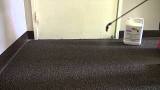 How to Eradicate Bed Bugs by Cleaning Carpets Using NatureCide All Purpose [upl. by Christyna]