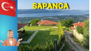 Sapanca Villas For Sale Villas With Beautiful Views In Sapanca Türkiye [upl. by Elle162]