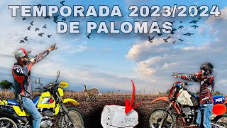 Recorriendo los TERRENOS DE CACERIA  Temporada de PALOMAS 20232024 QUE NOS ESPERA‼️ [upl. by Anekahs850]