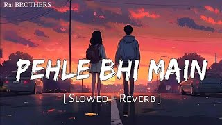 Pehle Bhi Main Slowed  Reverb  Vishal Mishra  Animal  Lofi  Raj BROTHERS [upl. by Alyehs]