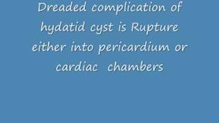 Hydatid Cyst  A rare echocardiographic observation [upl. by Repard272]