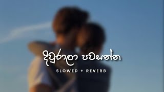 Centigradz  දිවුරාලා පවසන්න Slowed  Reverb [upl. by Mose]