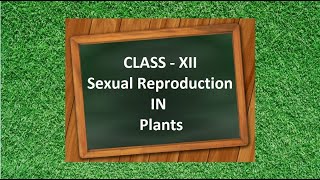 Class XII  Pollination and its Types  Allogamy  Xenogamy  Autogamy  Geinotogamy [upl. by Eluj]