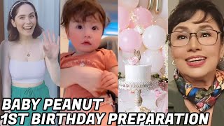 BABY PEANUT FIRST BIRTHDAY❤️ VILMA Santos EMOSYONAL sa BONGGANG PAGHAHANDA Ni Jessy Mendiola at Luis [upl. by Aytida]