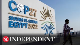 Cop27 Summit takes on theme of biodiversity as experts call for strong climate action [upl. by Yadnus]