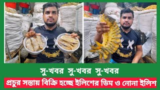 প্রচুর সস্তায় বিক্রি হচ্ছে ইলিশ মাছের ডিম ঢাকা কাওরান বাজার  ব্যাপক হারে কমছে নোনা ইলিশের দাম [upl. by Ahtan]