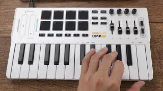 Donner Professional Mini DMK25  25 Key USB MIDI Keyboard Controller [upl. by Nolie]