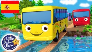 Canciones Infantiles  Diez Autobuses  ¡Y más Dibujos Animados  Little Baby Bum en Español [upl. by Aihsenak]