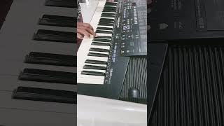 nisansala sandak 🎹 [upl. by Laniger]